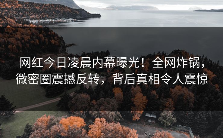 网红今日凌晨内幕曝光！全网炸锅，微密圈震撼反转，背后真相令人震惊